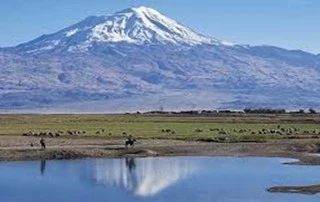 Ağrı Aile Danışmanlığı Sertifikası